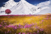 「これほど印象的なアルプス登山者2人の写真もないと思う…」混乱すること間違いなしの構図