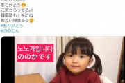 韓国人「それでも人間か！」反日韓国人が日本人の2歳の女の子に書き込みテロ！幼女に「悪質な書き込み」を行い議論に！　韓国の反応