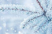 海外「実際ホワイトクリスマスなんてあんのか？」雪が降らない国の方が世界では主流なんだが