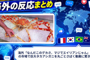 海外「なんだこのデカさ、マジでエイリアンじゃん」 沖縄の市場で巨大タカアシガニを丸ごとさばく動画に驚きの声