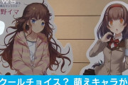海外「キャラをブサイクにすればいいのかよ！？」日本の環境省の「萌えキャラ」に海外から批判→これはおかしいと話題に！？