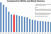 海外「なんでアメリカの黒人が多い地域は殺人率がアフリカ並に高いんだ？」