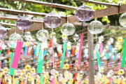 東京の夏の暑さをどう乗り越えるの！？うちわを使ったり、かき氷を食べたり… 海外の反応