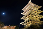 韓国人「中国人観光客がいないから快適…新型コロナに適応する日本をご覧ください」