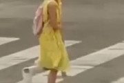 海外「たまには良いことをしている中国人を見てみよう」