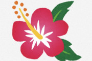 海外「可愛すぎる」「どストライク」個性的で美しい沖縄の伝統衣装