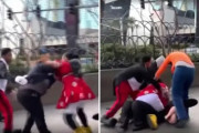 ミニーマウス（の中の人）が女性警備員と大乱闘。ミッキーとグーフィーが仲裁に入るという事件が発生（アメリカ）
