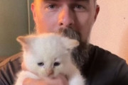 猫に選ばれしヒゲメン再び！「猫派じゃなかった」はずなのに白い子猫の沼にはまる