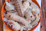 外国人「このシーフードは見た目が昆虫すぎる、気持ち悪いよ」