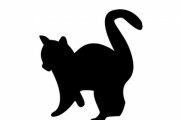 「小さな子猫からプレッシャーを感じるのは…こんなとき」