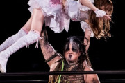 韓国人「日本の女子プロレス生態系破壊者」