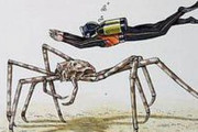 日本近海に生息する世界最大の節足動物とダイバーの大きさを比較したイラストに海外びっくり仰天　海外の反応