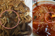 【閲覧注意】韓国人「韓国チャンポンにトンボの死体！」トンボの死体入りジャージャー麺に韓国ネットが大騒ぎに！　　韓国の反応