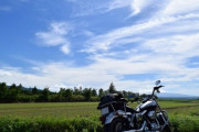 韓国人「バイクに乗る男の理想と現実」
