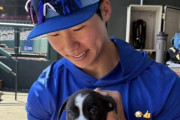 マイナー落ちしたキム・へソンの様子に全米騒然！←「すぐにメジャー昇格するさ」（海外の反応）