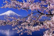 海外掲示板「貴方が日本に住もうと思ったのは何故？」 海外視点からの日本の良さがなんか凄く新鮮なんだが！