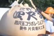 韓国人「日本の花火職人が作った花火がすごい件」