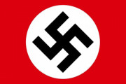 韓国人「衝撃：ユンソンニョル大統領支持者とナチス追従者の共通点がこちらです…！」