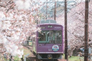韓国人「日本の京都に桜を見に行ってきた」→「天国に他ならないね」