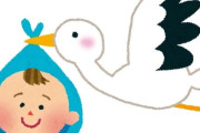 「妊娠する確率の違いって、こんな感じがする…」皮肉を表したネットミーム