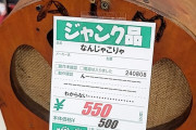 外国人「これが日本のハードオフ店員でも分からなかった商品らしい」