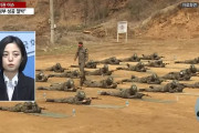 【海外の反応】韓国正義党が女性も軍隊に行くべきと提案　海外の反応「出生率が0.1になる、独裁政権よりも悪くなろうとしている」