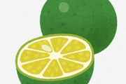海外「これは面白い発想！」日本のメーカーが開発した二つの果物を合体させた新しい果物が斬新だと話題に