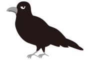 日本の「カラス注意の看板」が説得力ありすぎるｗｗｗ【台湾人の反応】