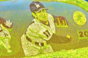 韓国人「田んぼに大谷翔平が登場！」日本の田んぼアートに驚きの声