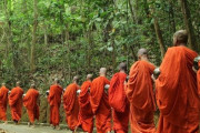 「なんて強烈な飛び蹴り…」タイの僧侶が抗議デモで世界的な注目を集める