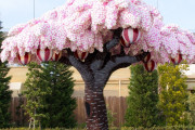 海外「日本のレゴランド、桜の木がすさまじいぞ・・・」日本の子供たちは壊したくならないんだろうか？？