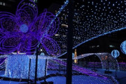札幌の夜景を楽しむ～in北海道～「冬の札幌は日本での最も楽しい思い出の一つです」「雪が降った時の日本はとても美しいです! 」海外の反応