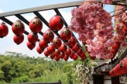 韓国人「韓国人が『アイゴー、アイゴー』を連発！」インドネシア人が作った『韓国村』に『日本の桜』が混ぜられる→「桜は韓国固有の木です」　韓国の反応