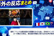 海外「インドは衛生面が大問題だからなあ」 日本がインド産マンゴーの輸入を停止、衛生面の問題と受け止める声が相次ぐ