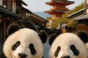 中国人「京都で最もオススメの観光地はどこ？」　中国人「中国では絶対に見られないのはここ」「鴨川の良さについて語る」