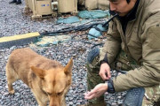 韓国紙「イ・グン大尉とウクライナに行った2人が帰国 ... 警察 "隔離期間が終われば調査"」韓国の反応