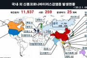 日米「中国からの入国禁止」韓国「うーん…慎重に議論すべき！ｗ」→韓国人「対応力の差が酷すぎる…」＝韓国の反応