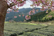 海外「日本の田舎は夢のよう！」Uターンしたい人が多い都道府県ランキングに海外興味津々！（海外の反応）