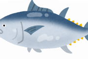 【海外の反応】日本の工場でマグロがどのようにカットされているか分かる動画がこちら