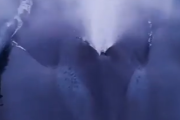 大きく深く一息つく。こんなに短い息継ぎで何時間も潜ることができるクジラってスゴイ。海外の反応
