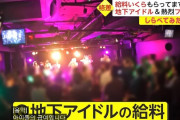 韓国人「日本の地下アイドルの給料とファンの推し活代がこちら…ﾌﾞﾙﾌﾞﾙ」