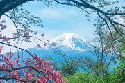 海外「何が起きたら日本を離れたいって思っちゃう？」日本で暮らす外国人がもしも日本を嫌いになるとしたら・・・