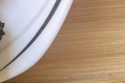 初めて日本料理店、この料理を気に入った←「起源は中国だ」（海外の反応）