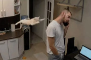 「あーあー！！！」電話中の飼い主さんの背中に飛びついた猫ちゃん、予想以上のダメージを負わせてしまう…