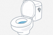海外「そんなはずない」「聞いたことある」日本のトイレに流してはいけないトイレットペーパー