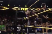 海外プロレスファン「中国へ帰れ」紫雷イオ「私は日本人だこの野郎！」