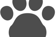 里親契約書へのサインを拒否する日本の猫　【海外の反応】