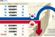 韓国紙「韓国企業 "ビッグ4" の驚くべき実績 ... 日本のライバル会社を圧倒」