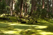 海外「言葉にならないくらい感動！」福井の苔寺、平泉寺白山神社が神秘的すぎる！←知らない神社だけど、撮影の仕方に愛を感じるわ　海外の反応