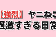 【強烈】『ヤニねこ』第1話、かわいい作画と過激な日常に海外真っ二つ